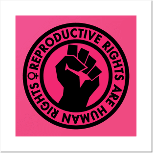 Reproductive Rights are Human Rights (hot pink) Posters and Art
